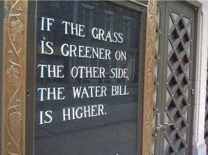 Breaking into a New role: Is the Grass Greener? if-the-grass-is-greener-on-the-other-side
