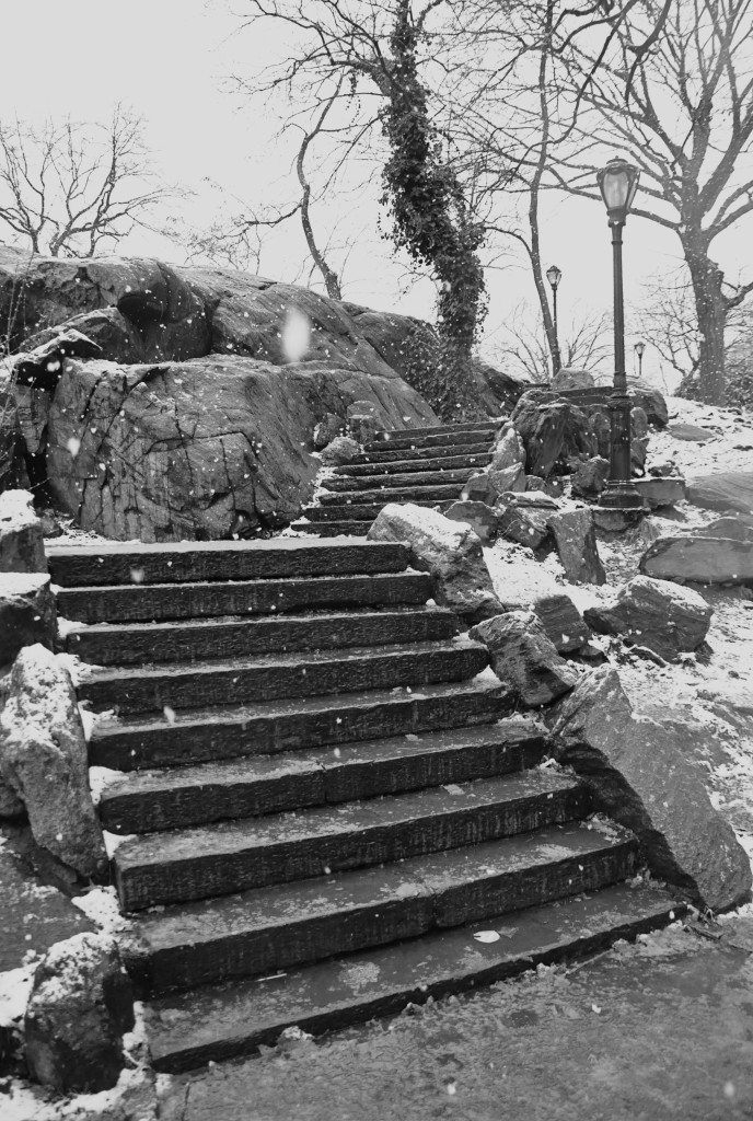 Central Park Steps In The Snow