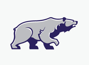 1-Bear