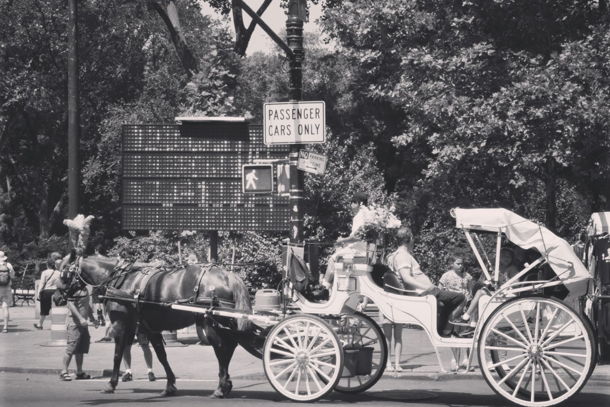 Summer in the City