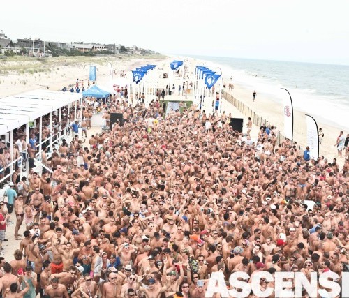 Project Publicity, Manhattan Digest, Ascension