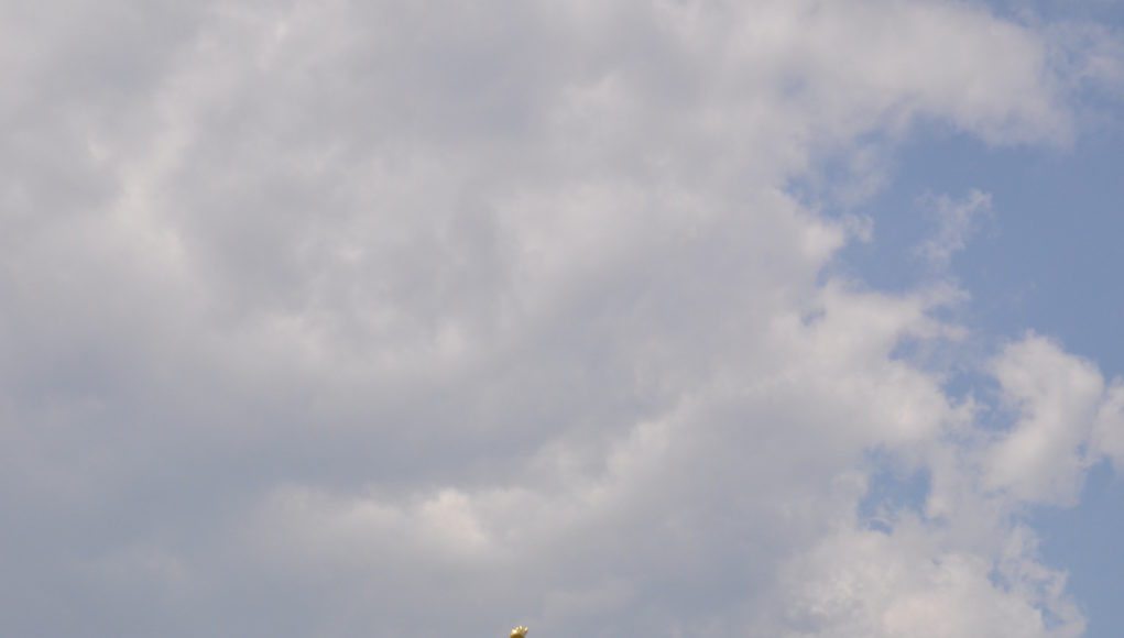 Statue of Liberty