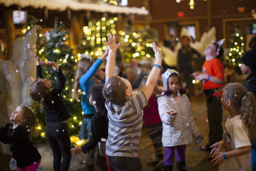 indoor-snow-shower