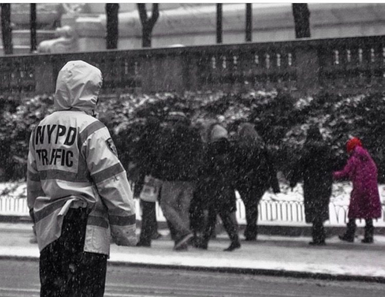 Traffic Cop